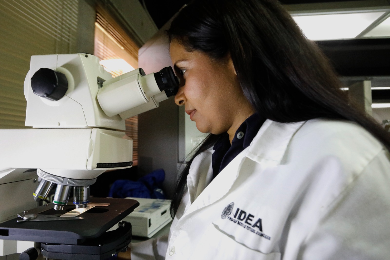 Investigadores adelantan proyecto de producción de microalgas con fines biotecnológicos