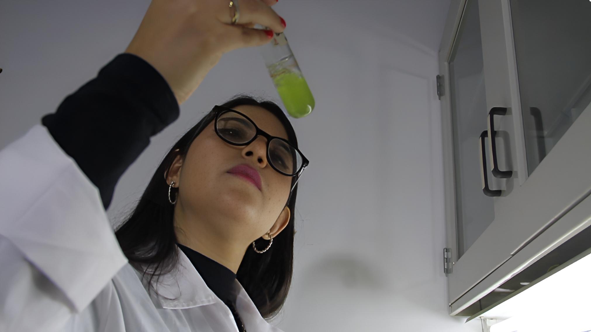 Estudian potencial del uso de microalgas productoras de aminoácidos esenciales en formulaciones alimenticias