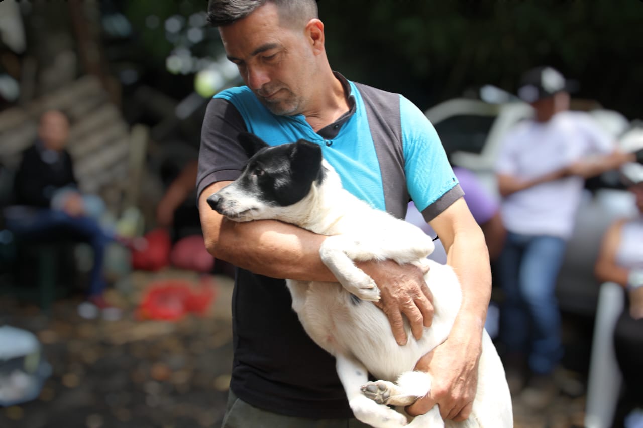 Polo Científico y Misión Nevado realizan jornada de esterilización de felinos y caninos en Hoyo de La Puerta