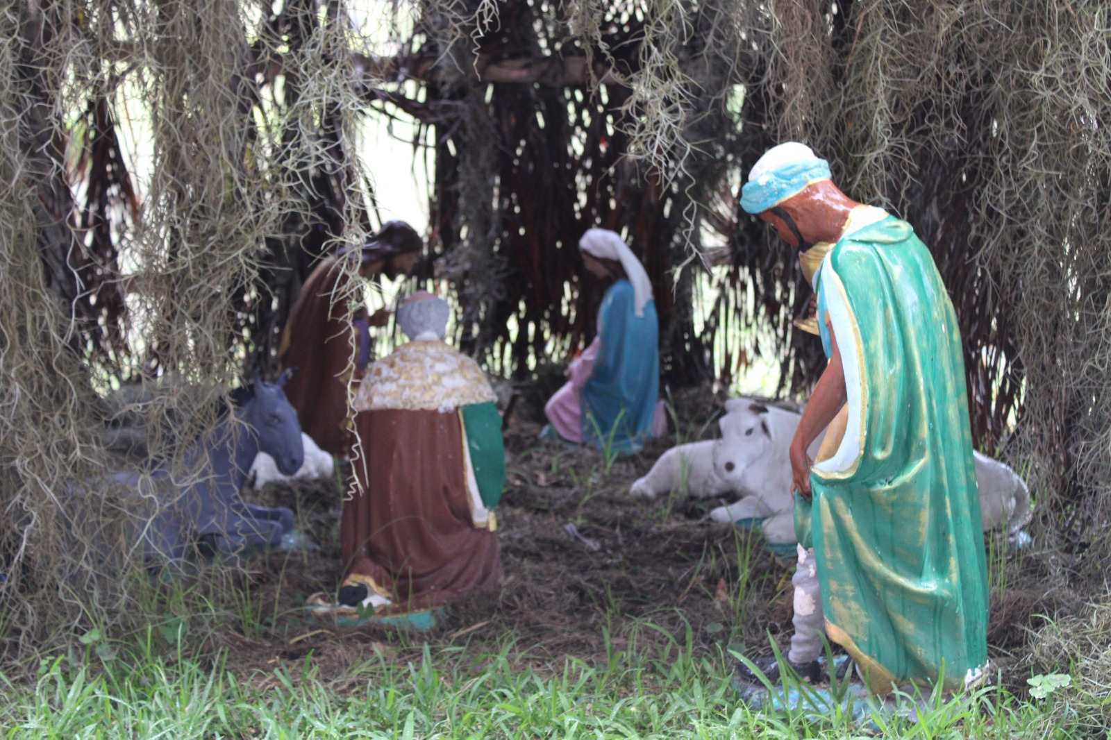 Venezolanos reavivan sus tradiciones culturales y creencias en Dios con el pesebre navideño