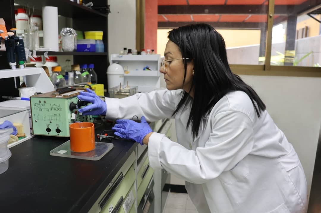 Fundación IDEA desarrolla kit para identificar especies causantes de accidentes escorpiónicos