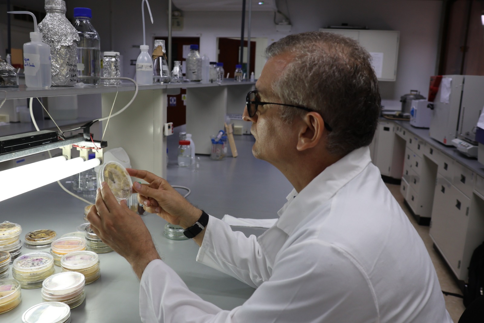 Científicos del IDEA buscan elaborar formulados microbianos controladores de plagas agrícolas