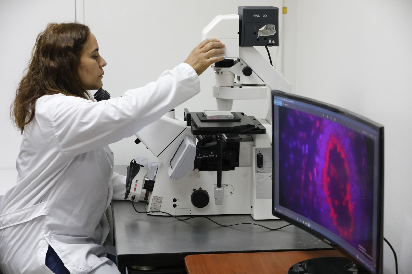 Mujeres del IDEA potencian el desarrollo científico nacional con proyectos de gran alcance